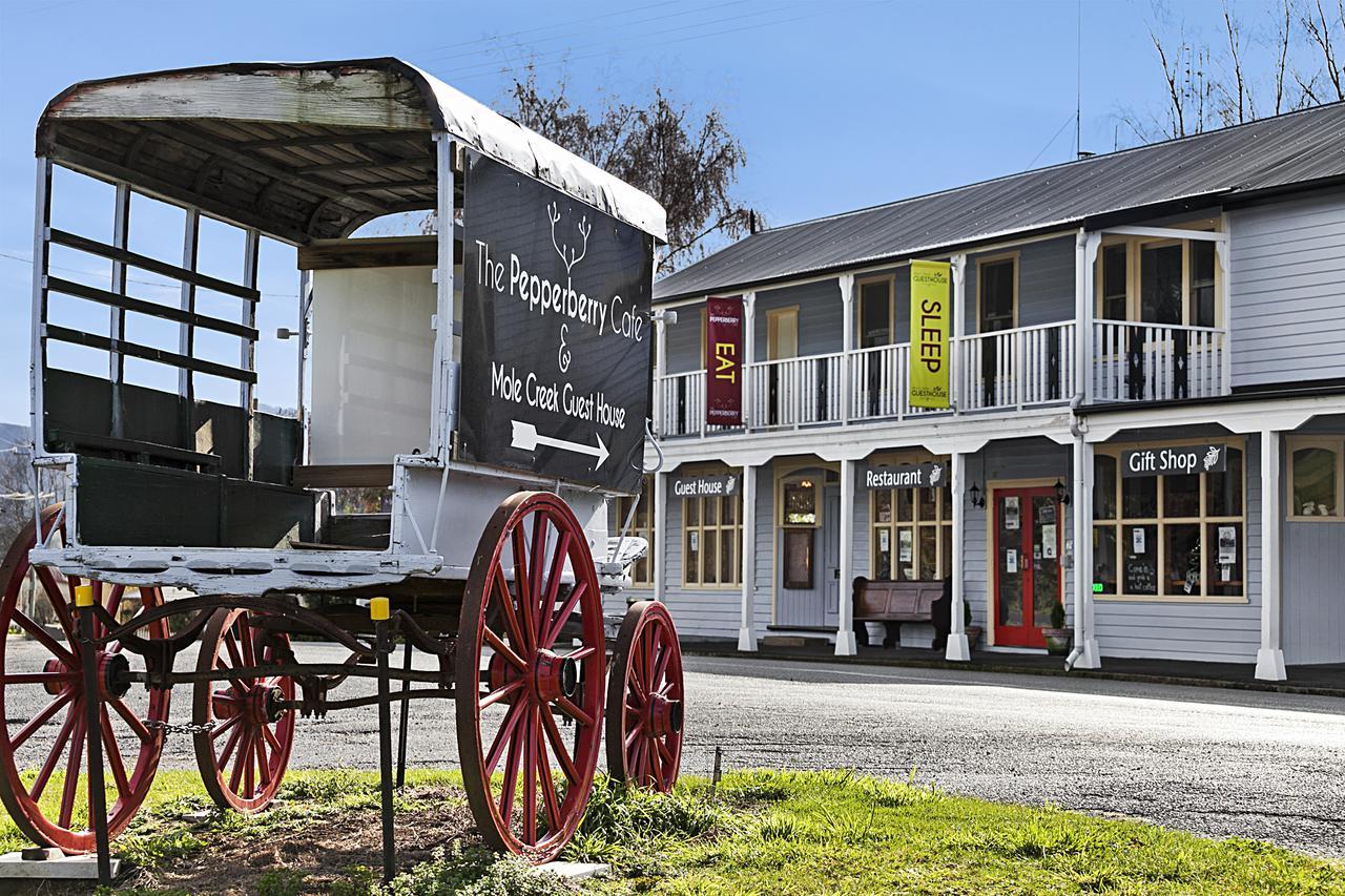 Mole Creek Guesthouse Exterior photo