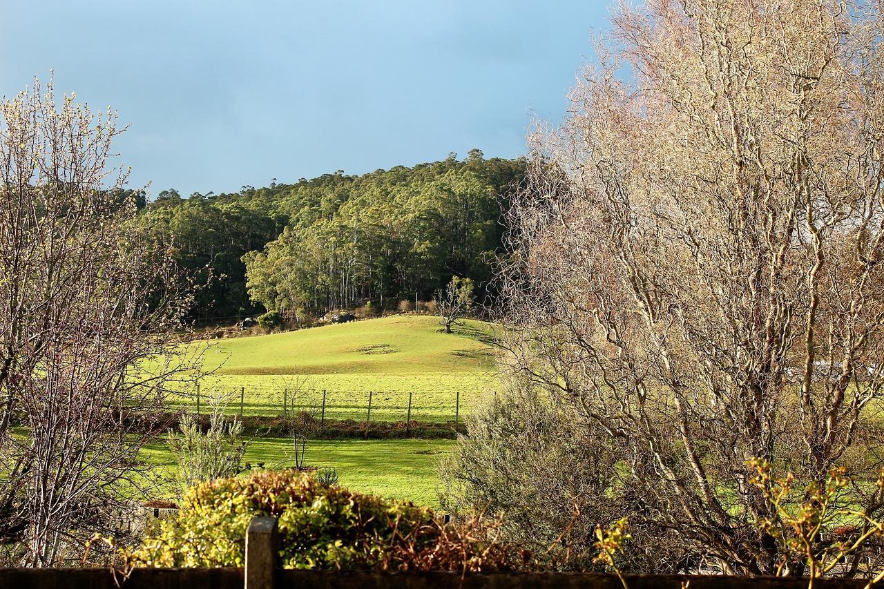 Mole Creek Guesthouse Exterior photo