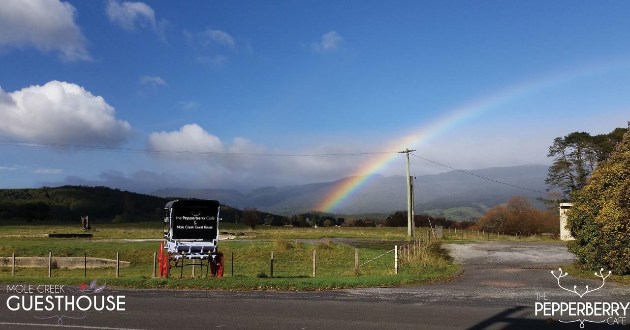 Mole Creek Guesthouse Exterior photo