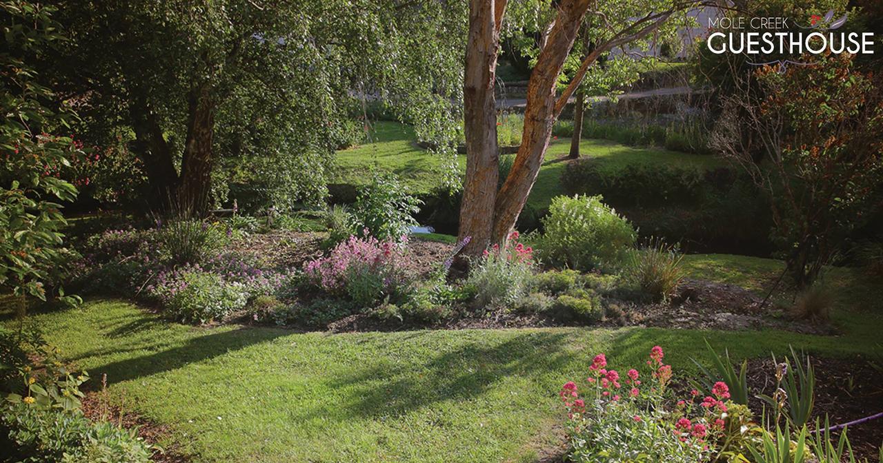 Mole Creek Guesthouse Exterior photo